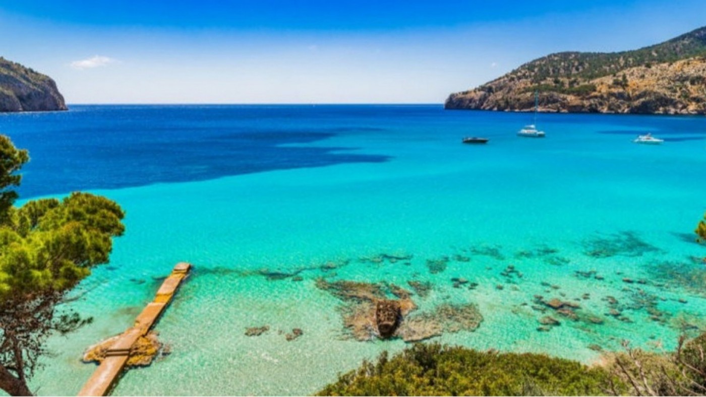 Un estudio de la UAB alerta de la tropicalización del Mediterráneo