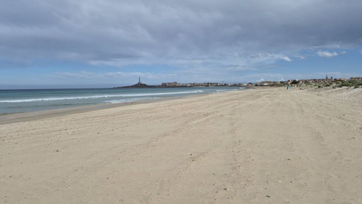 Playas limpias de medusas en Cartagena esta Semana Santa