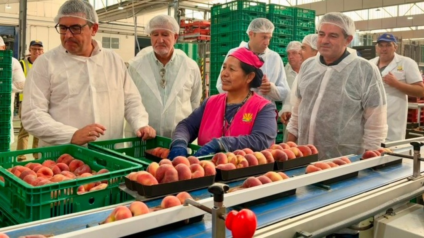 Sin incertidumbre hídrica para la próxima campaña de hortalizas