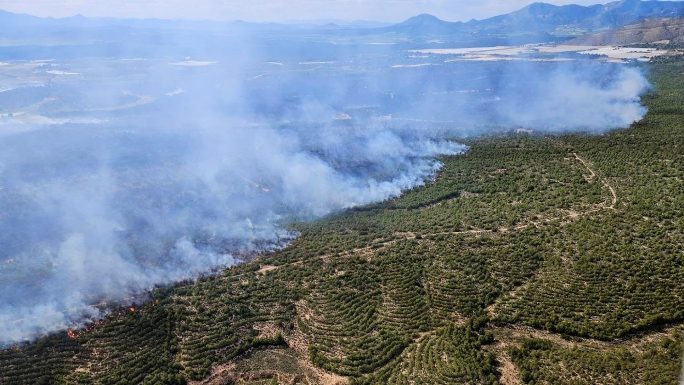 Estabilizado el incendio en las estribaciones de Sierra Espuña tras arrasar 400 hectáreas