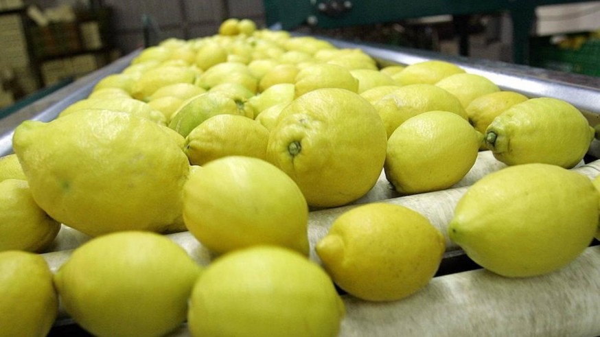 Los productores desconfían de las salvaguardias agrícolas de la Unión Europea