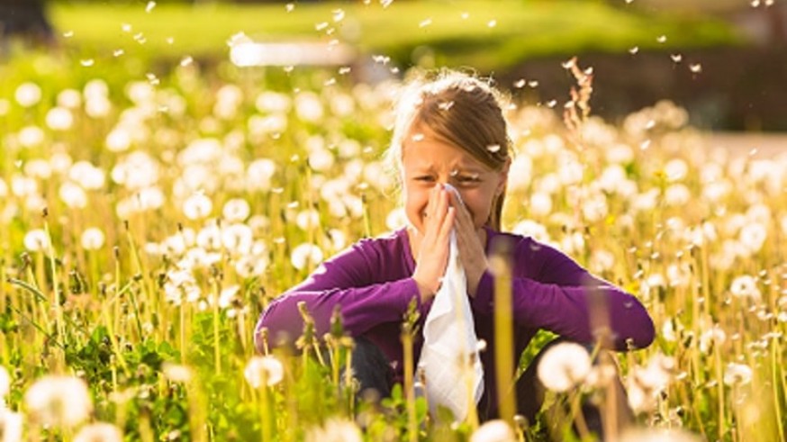 Alergia al polen. 