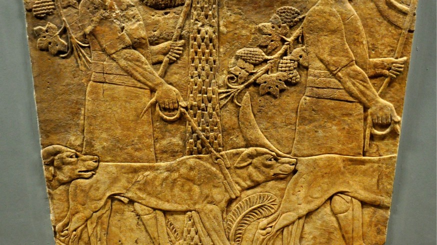 Raticos Arqueológicos, con María Haber. El milenario vínculo entre humanos y perros