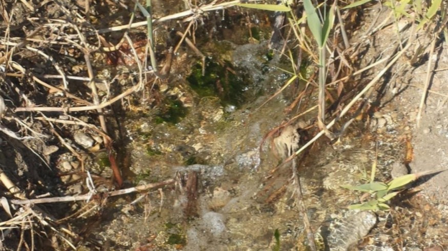Imagen de archivo de un vertido de agua al Mar Menor