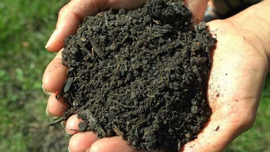 Orines humanos para fertilizar de forma sostenible