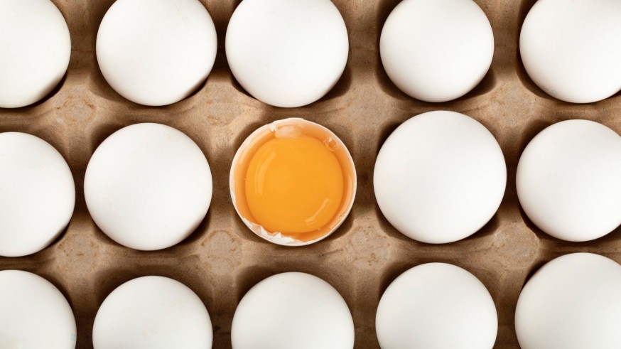 Con sumo gusto, con Luis Hidalgo