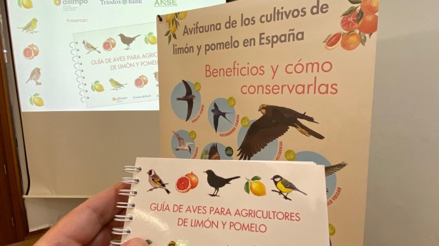 Las aves pueden ayudar en el control de plagas de los cítricos