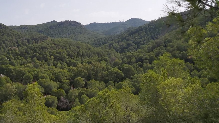 Ecologistas en Acción denuncia retrasos “deliberados” en la ordenación del parque regional de El Valle y Carrascoy