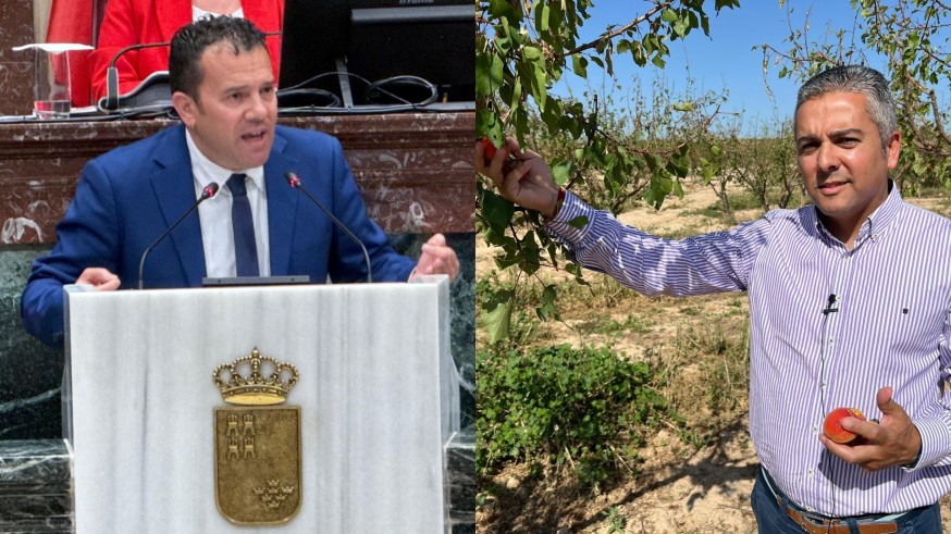 El PP pide ayudas por las granizadas al gobierno central y el PSRM-PSOE también al autonómico