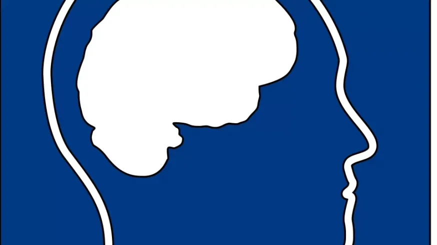ARQUITECTURA EN ABIERTO CON COAMU: La neuroarquitectura analiza cómo los espacios que habitamos alteran el cerebro