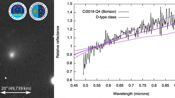 Imagen y espectro de reflexión del Cometa interestelar C/2019 Q4 (Borisov). Instituto Astrofísica Canarias 