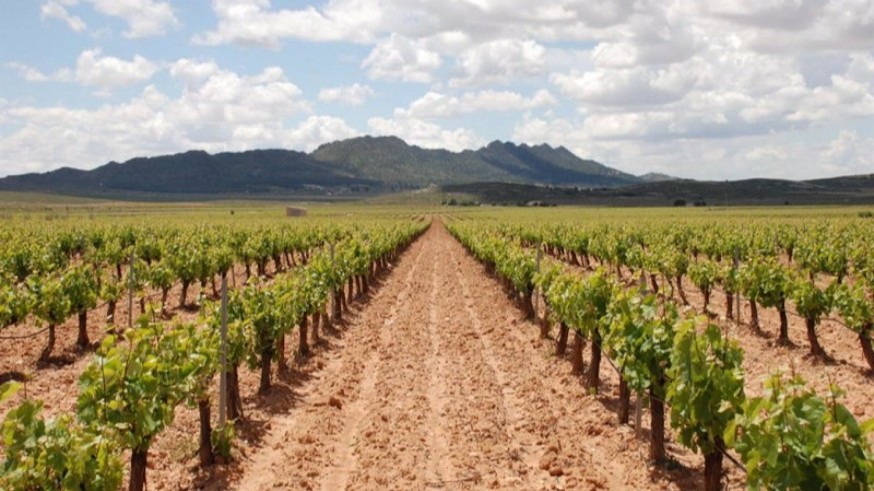 8 millones de euros para el sector agrícola en zonas con limitaciones especiales 