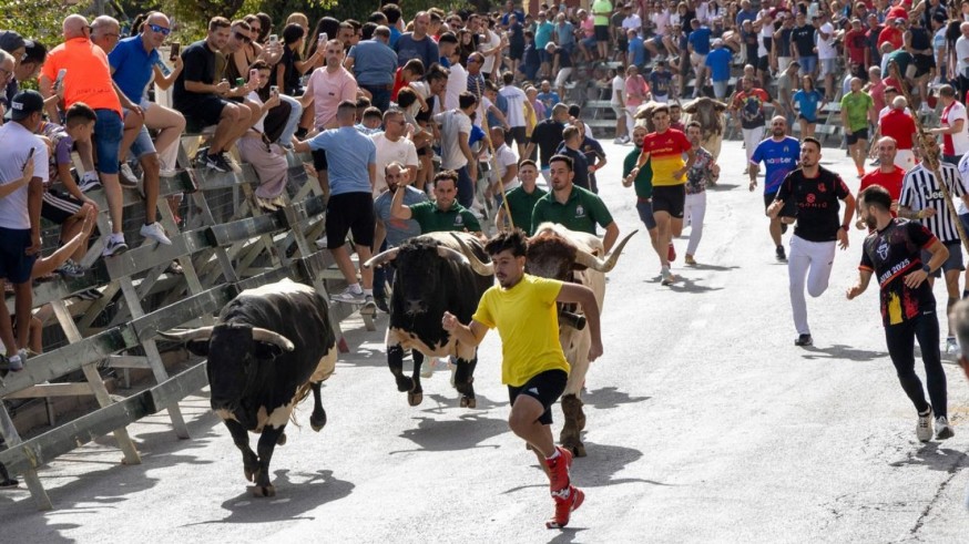 Cuarto encierro de la Feria del Arroz de Calasparra