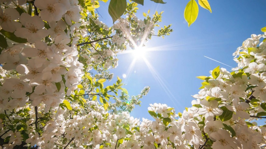 Bienvenida primavera en la Región de Murcia: la temperatura máxima que se impone este fin de semana