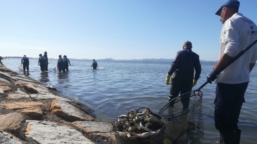 Operarios siguen retirando peces muertos en San Pedro