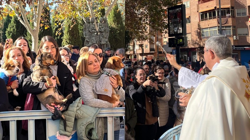 Bendiciones de animales y mascotas con motivo del día de San Antón