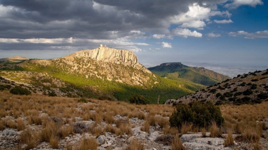 Conociendo Sierra Espuña. La sequía en el monte