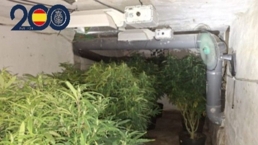 Desmantelados varios secaderos de marihuana en el Polígono de la Paz en Murcia