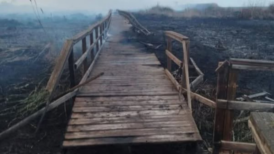 Los Alcázares. El futuro de La Hita