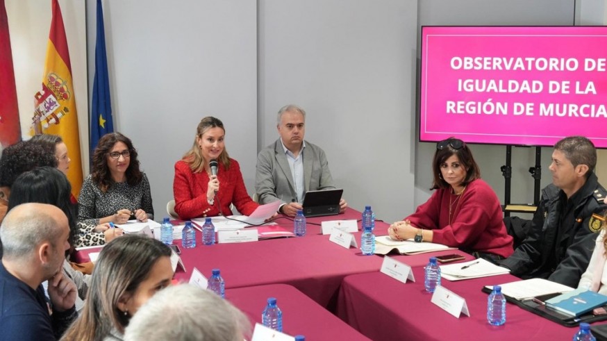 El Observatorio de Igualdad avanza en el Pacto Regional contra la Violencia hacia las Mujeres
