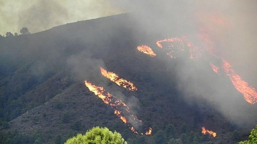 Se cumplen 30 años del incendio que en Moratalla quemó 30.000 hectáreas