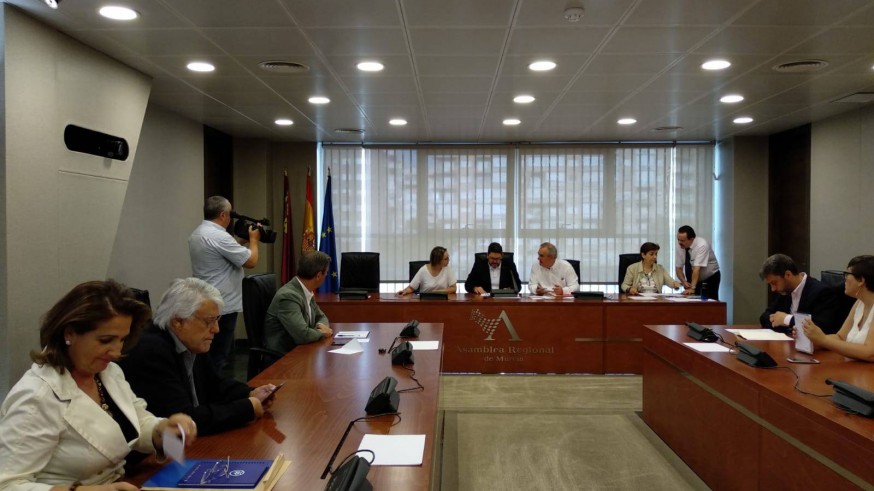 Comisión Seguimiento del AVE en la Asamblea