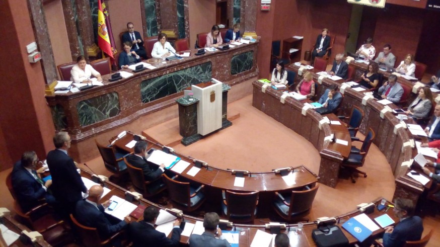 Hemiciclo de la Asamblea esta mañana