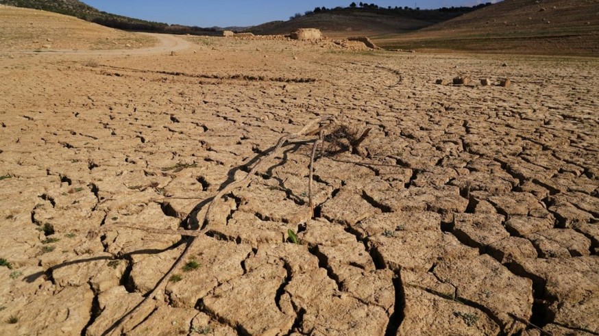 El 91% de la Región de Murcia está en proceso de desertificación