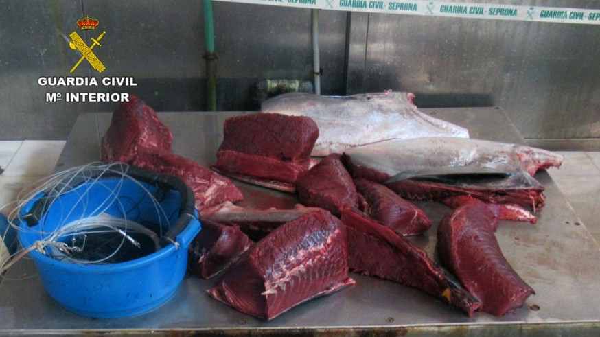 La Guardia Civil sorprende a dos furtivos con un atún rojo de más de 70 kilos en Águilas