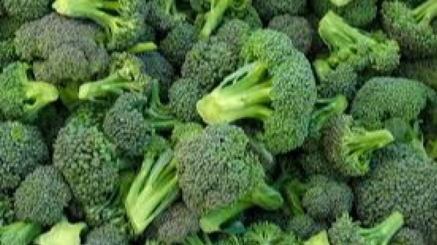 La Asociciación '+Brocoli' estudia incluir en los comedores escolares el consumo habitual de esta verdura