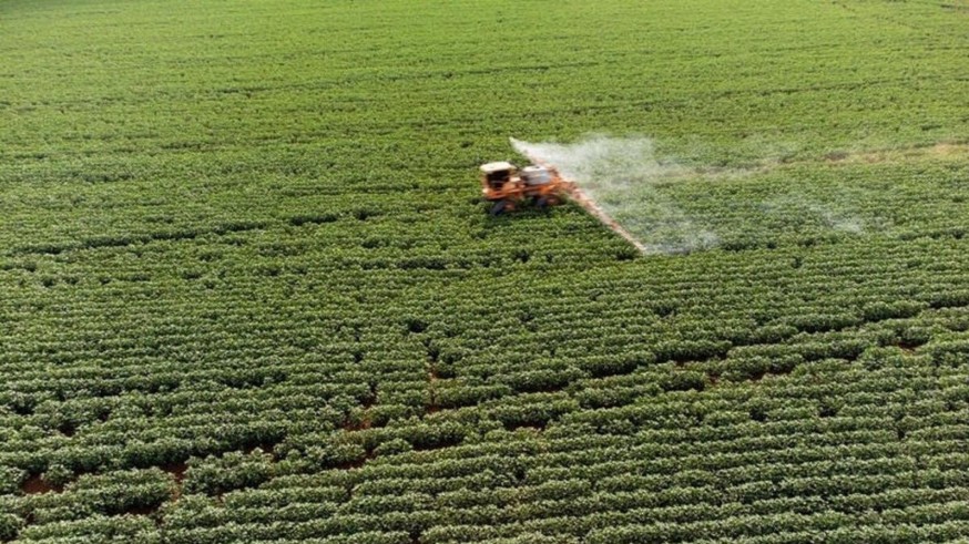 La polémica sobre el insecticida Movento revela el fin de un modelo agrícola en la UE