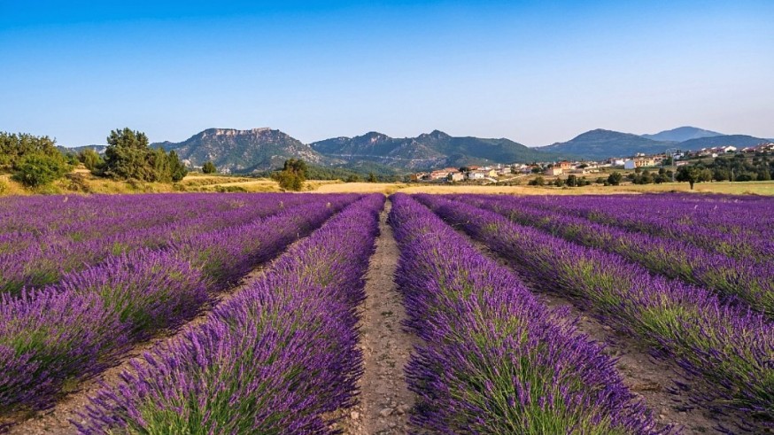 En La mirada de Rubén Juan Serna hablamos con el fotógrafo de fotografía de naturaleza con floricultura y agricultura