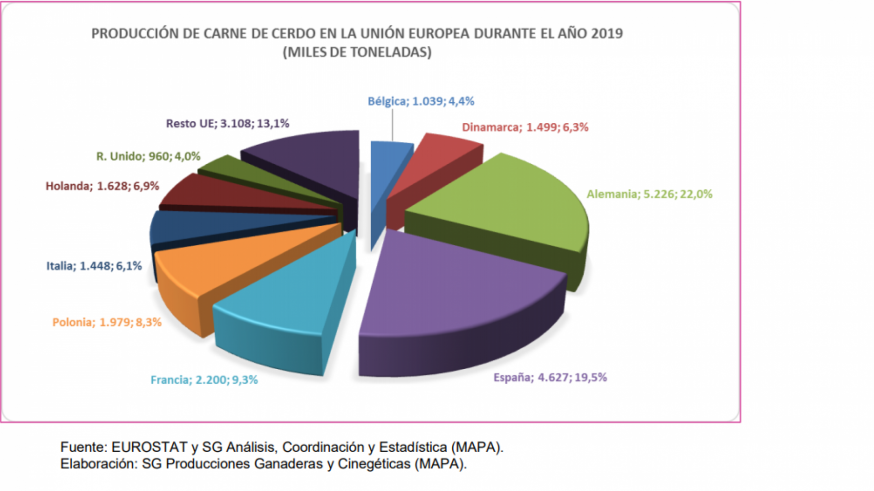 España lidera en Europa la producción porcina intensiva. Foto: MAPA