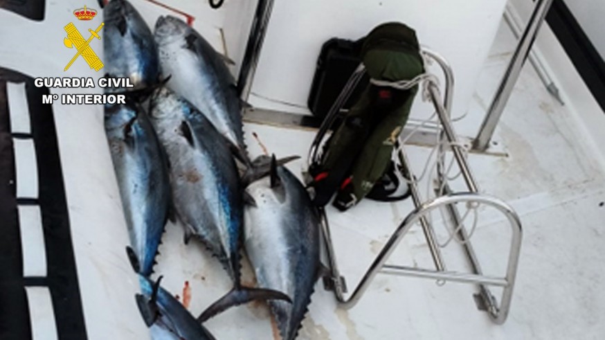 Denunciadas dos personas por capturar ilegalmente más de 60 kilos de pescado en Cartagena
