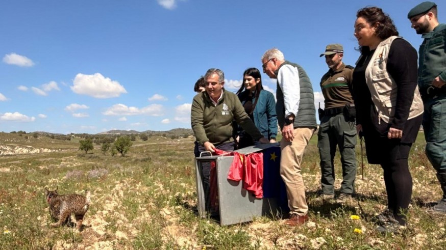 Wonders es el nuevo lince residente en Lorca