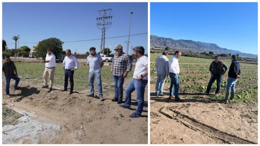 Piden las máximas ayudas para los cultivos de Lorca dañados por el granizo