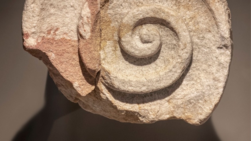 Museos que quieren unir en tiempos de división