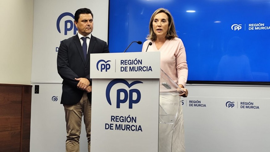 El PP propone modificar la ley de seguridad para reforzar los medios contra la criminalidad