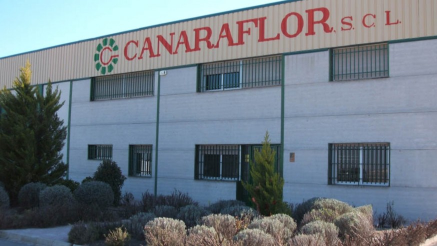 EL ROMPEOLAS. La flor cortada vuelve a niveles de venta similares a 2019