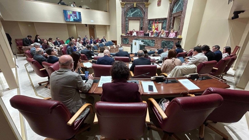 La Asamblea Regional acuerda medidas para mejorar la atención a enfermos de Alzheimer y sus cuidadores