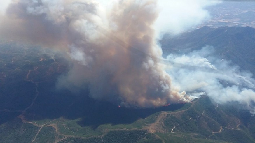 Incendio en la Sierra Bermeja