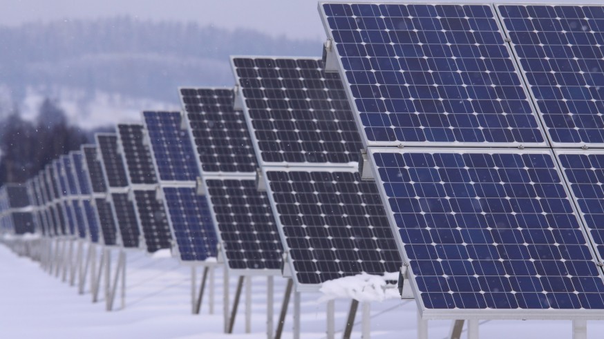 Placas solares en una planta fotovoltaica