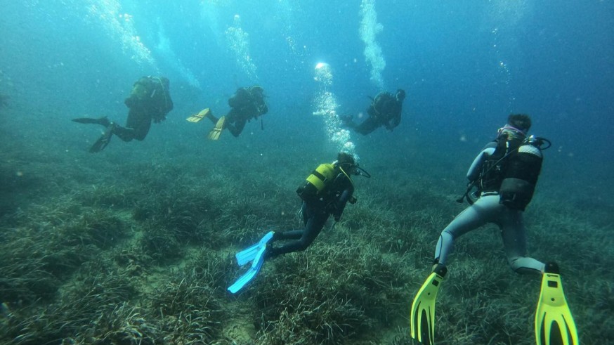 ¿Y en verano qué pasa contigo? Instructores de buceo