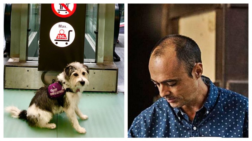 PLAZA PÚBLICA. Iberia debería saber que Sheldon... no es un perro cualquiera