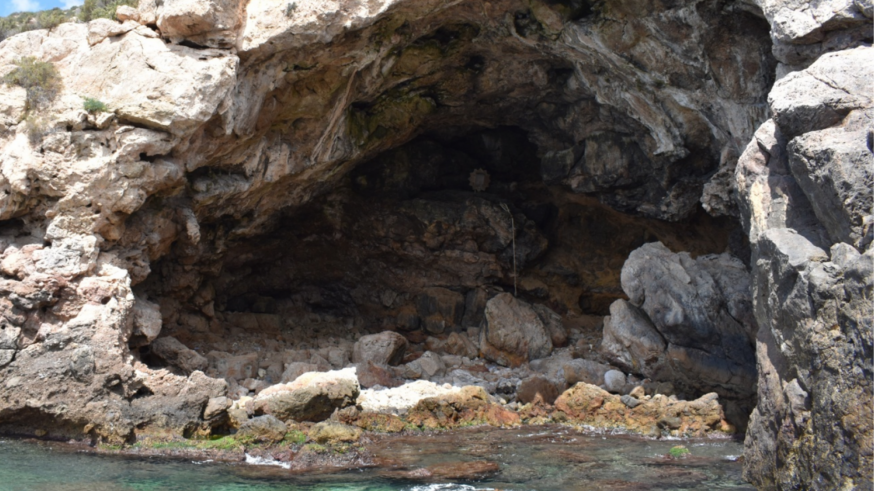 Los neandertales comían moluscos cuando eran más "grandes y sabían mejor"