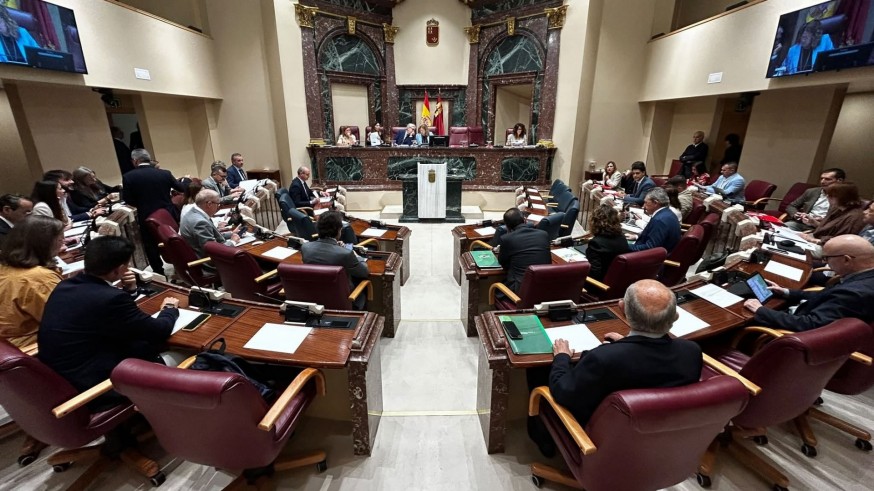 La Asamblea dice 'sí' al Colegio Oficia de Pedagogía y Psicopedagogía