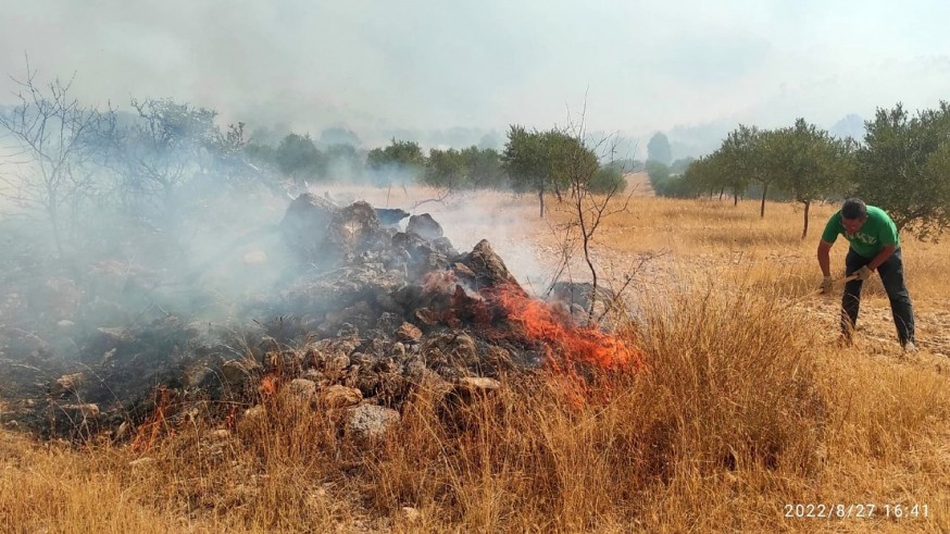 Conocemos el estado del terreno de una zona arrasada por el fuego en Jumilla