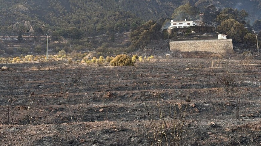 Ecologistas en Acción pide facilitar la recuperación natural tras el incendio