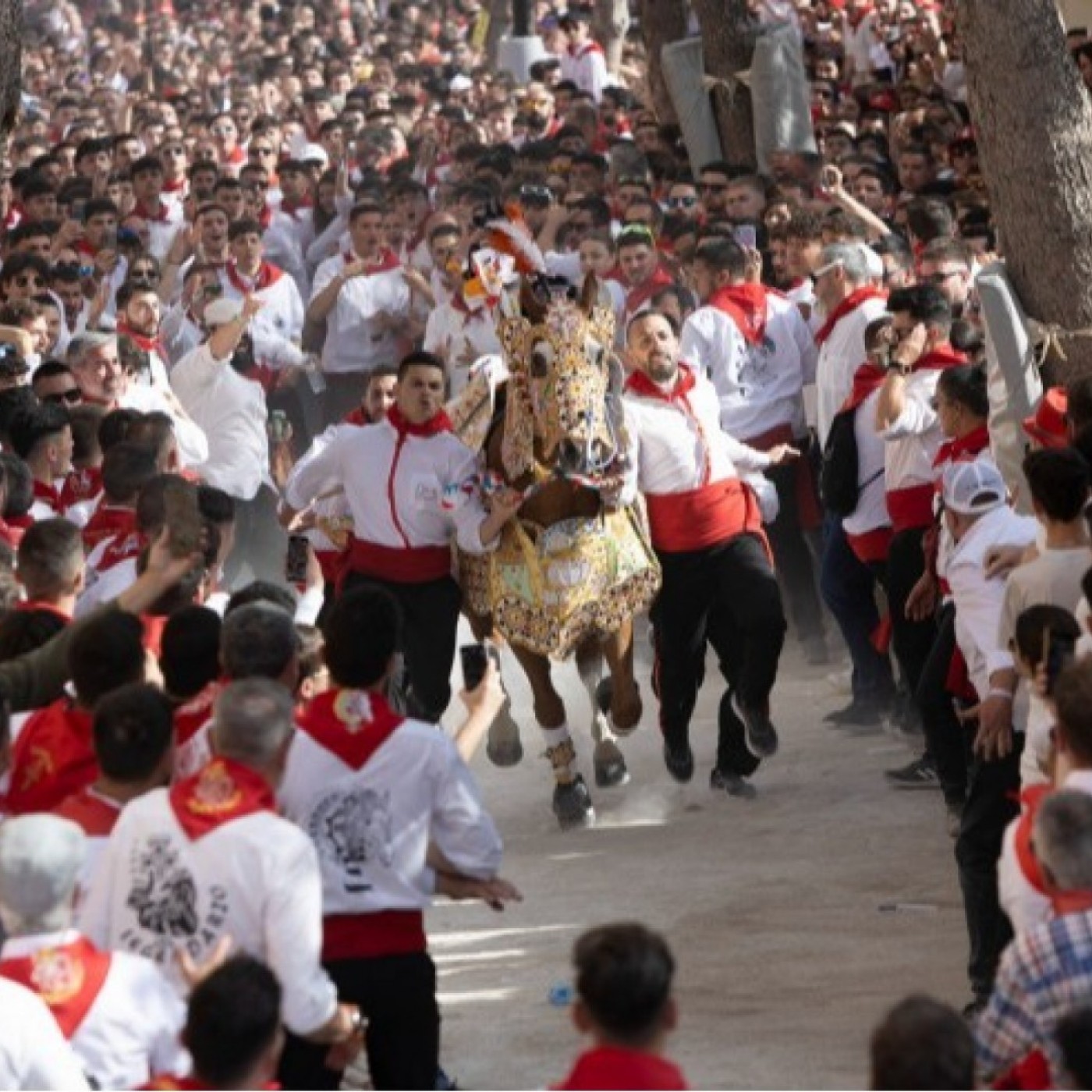EL MIRADOR T06C170 Caravaca de la Cruz cierra unas fiestas "brillantes" con un balance histórico de participación y seguridad (06/05/2026) episode artwork
