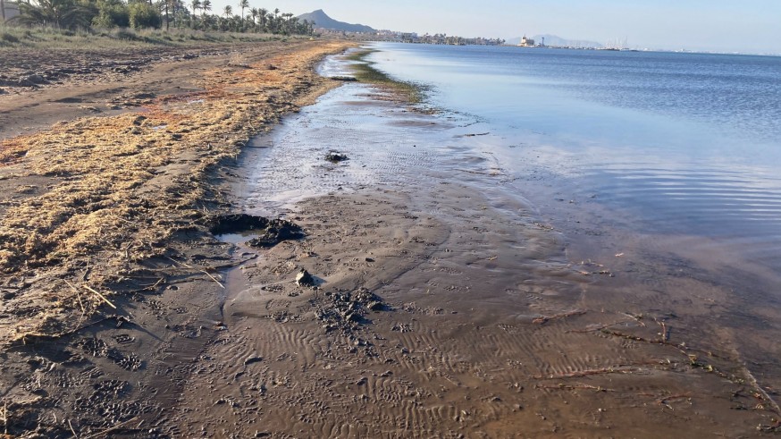 El cambio climático puede agravar la contaminación por metales pesados en el Mar Menor